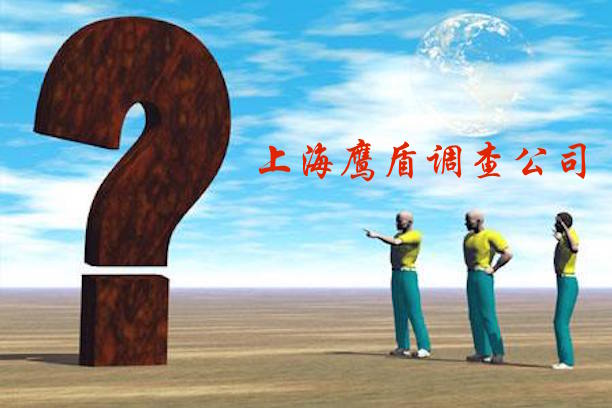 上海调查公司