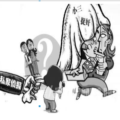 上海调查公司