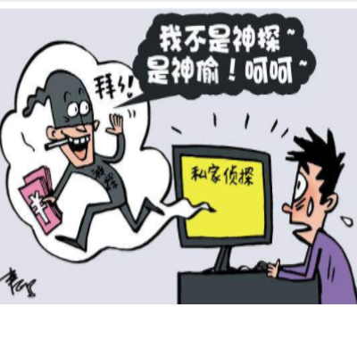 上海调查公司