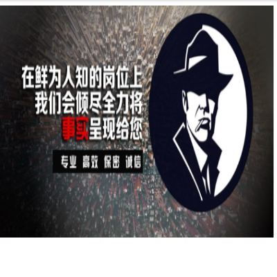 上海调查公司