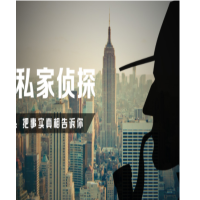 私家侦探