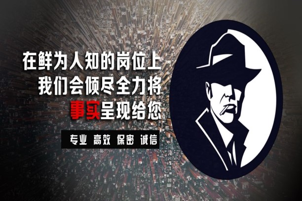 上海调查公司