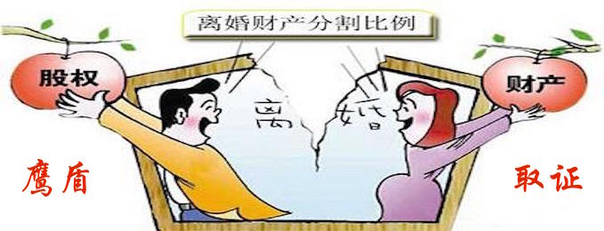 上海调查公司